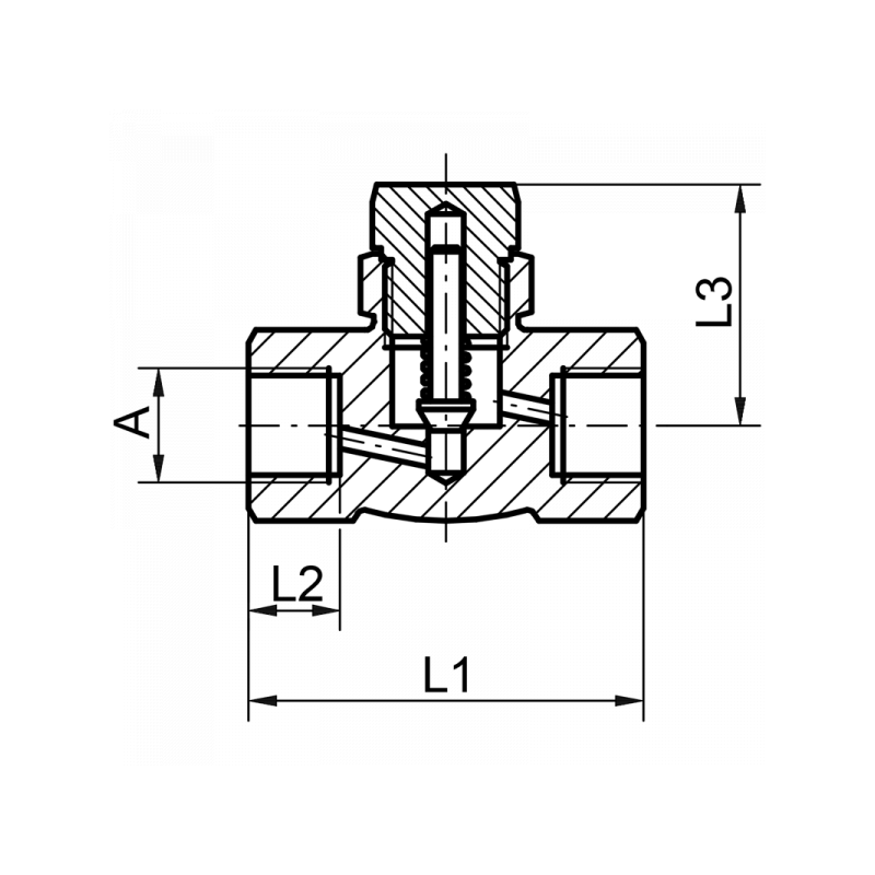 Hochdruck-Rückschlagventil, beiderseits Innengewinde, Material: 1.0460, 1.4571, 1.4104